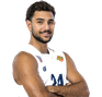 רון דנדיקר