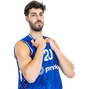 עמית גרשון