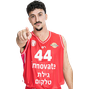 ניב משגב