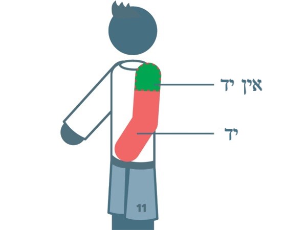 חוקי היד החדשים (IFAB)
