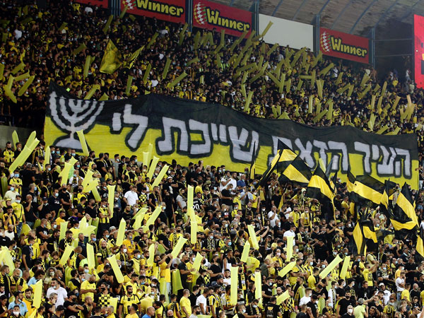 הקהל צבע את טדי (אלן שיבר)
