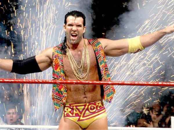 קריירה מפוארת. סקוט הול (צילום: WWE)