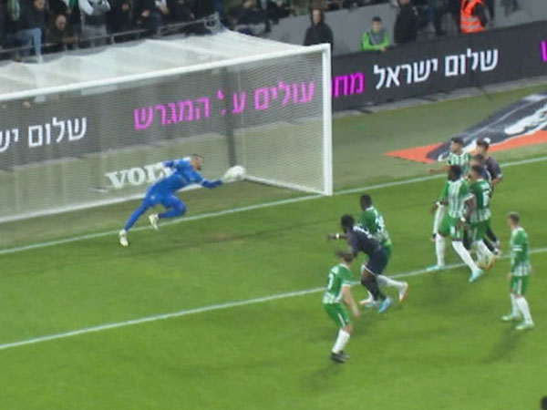 ההצלה של משפתי