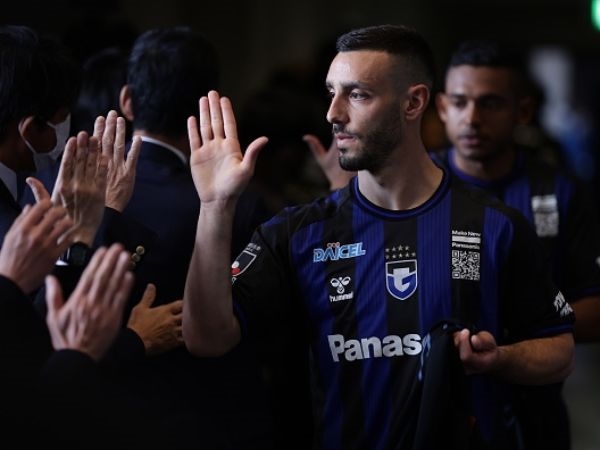 לביא. מרשים מאוד (Getty)