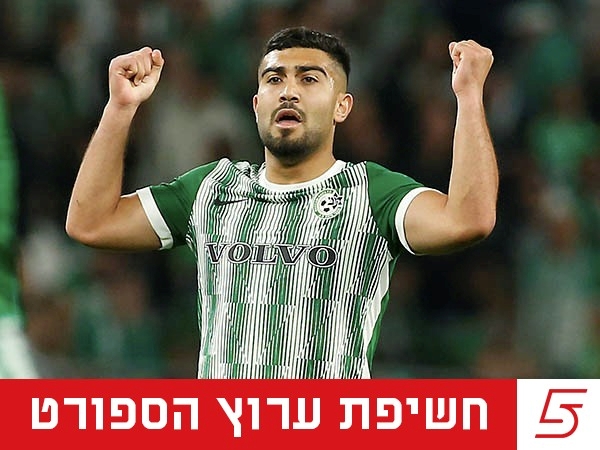 (אלן שיבר)