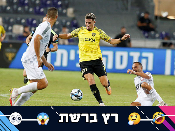 (אלן שיבר)