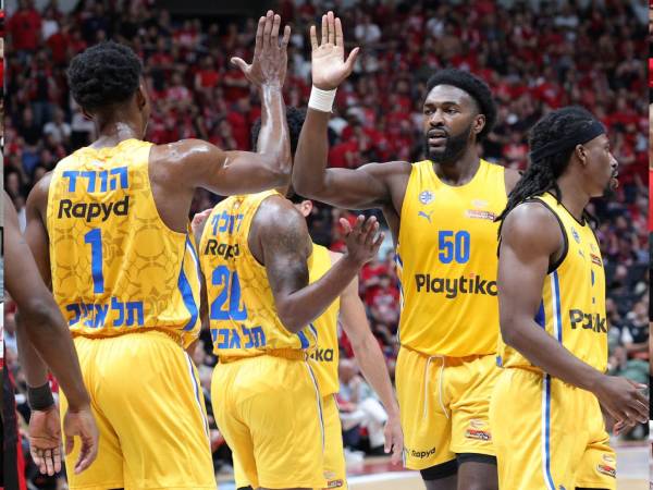 ישחקו על התואר? (אלן שיבר)