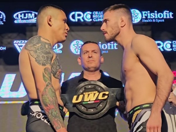 “חיפש דרך לברוח מהקרב“. ברזילי ואלפידיו