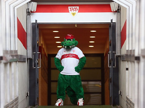 גם הקמיע של שטוטגרט, פריצל, לא רוצה לעלות לדשא (gettyimages)