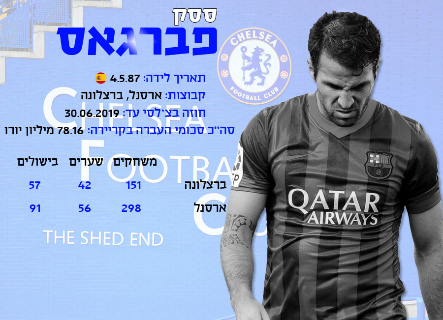 לחצו לצפיה בגודל מלא (אינפוגרפיקה: אריק פרימו)