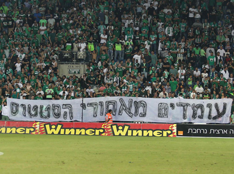(אלן שיבר)