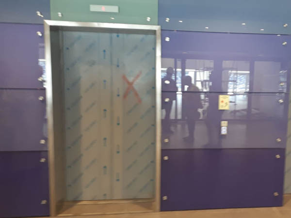 (צילום: שירי אלג'ם)