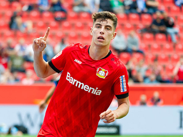 האברץ. אריות אירופה בעקבותיו (Getty)