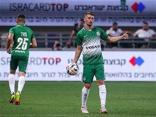 הירוקים התעשתו (אלן שיבר)