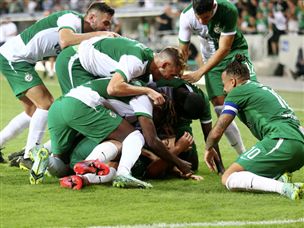 חגיגה ירוקה. (צילום: אלן שיבר)