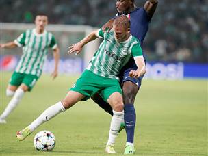 ונאבקה היטב מול הצרפתים (צילום: אלן שיבר)