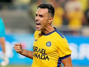 בסוף זה נכנס (אלן שיבר)