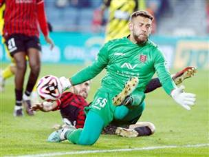 זמיר, רשם הצלה אחת גדולה (אלן שיבר)