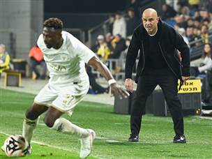 (ברני ארדוב)