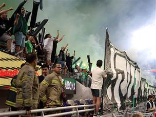 בצהוב ובירוק (צילום: אלן שיבר)