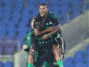 חגיגות גדולות בירוק-שחור (אלן שיבר)