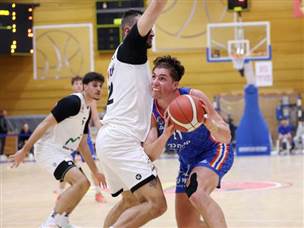 להט אצל המארחים. אריאל (אלן שיבר)