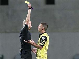 הצהוב הראשון של ורד. דאג לעמוד לרשות מימר בגביע (אלן שיבר)