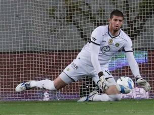 טננבאום, איביץ' נתן לו את המפתחות היום (דני מרון)