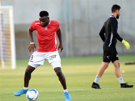 (ברני ארדוב)