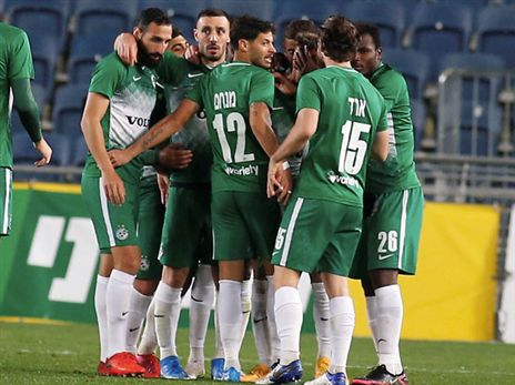 חגיגה ירוקה בטדי (אלן שיבר)