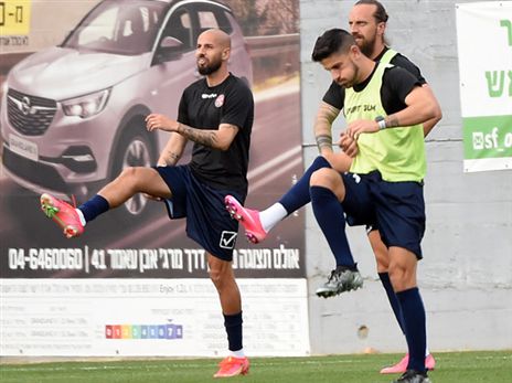 (ברני ארדוב)