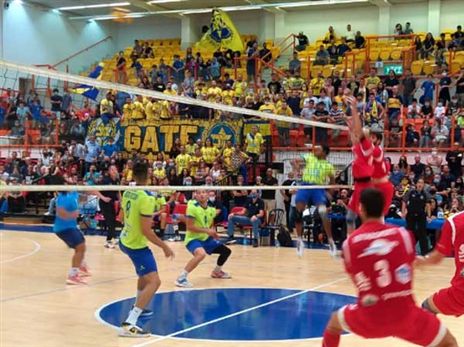 לא התקשו במיוחד (רינת ורדי)