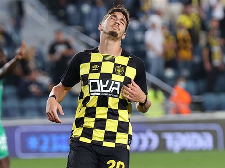 מאמץ עליון למכור אותו. שועה (צילום: דני מרון)