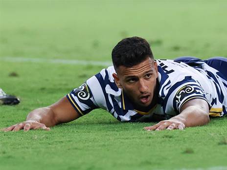 לא נראה כמו אריה. אלמוג (דני מרון)