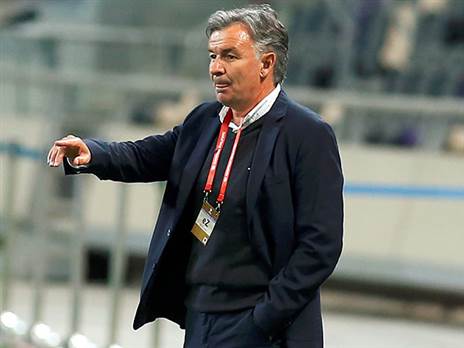 איש מקצוע מהשורה הראשונה (אלן שיבר)