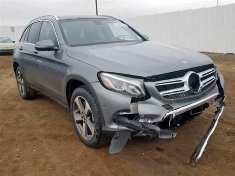 (צילום אילוסטרציה: Bigodrive)