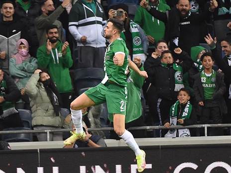 דין דוד הפעלות (ברני ארדוב)