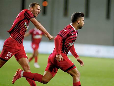 גוזלן. השפן (אלן שיבר)