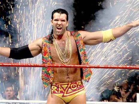 קריירה מפוארת. סקוט הול (צילום: WWE)