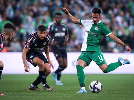 (מאור אלקסלסי)