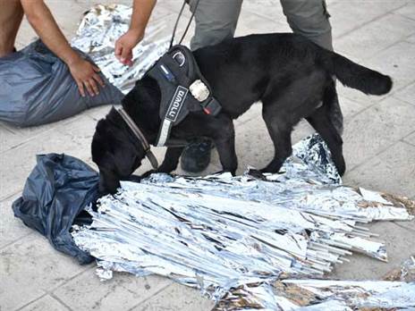 (דוברות המשטרה)