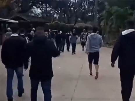 עשרות הגיעו למחות