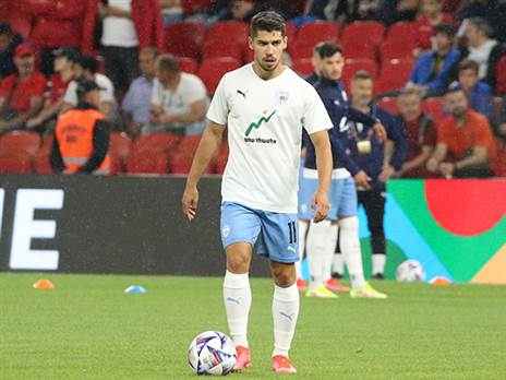 העסקה תתעכב, אבל תתבצע. סולומון (צילום: אודי ציטיאט)