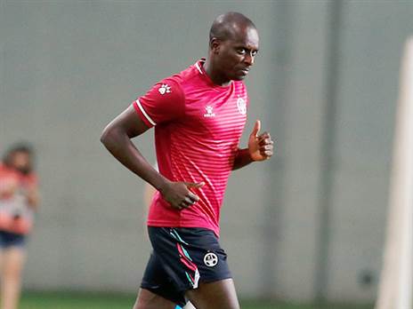 חגיגת הקרוקודיל תגיע לטדי? (דני מרון)