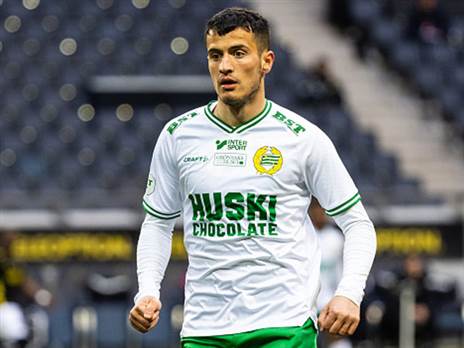 מאוכזב ממעמדו בשבדיה. סלמאני (	Michael Campanella, Getty)