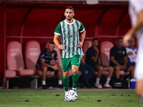 אצילי ישוב להרכב (מאור אלקסלסי)