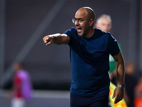 חיזוק משמעותי (מאור אלקסלסי)