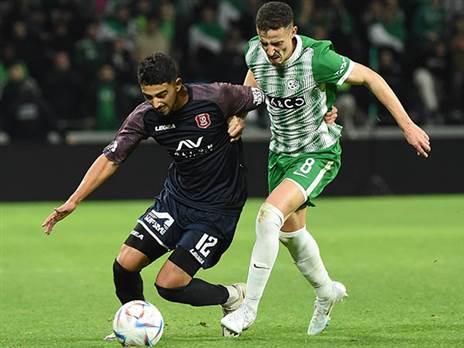 (ברני ארדוב)