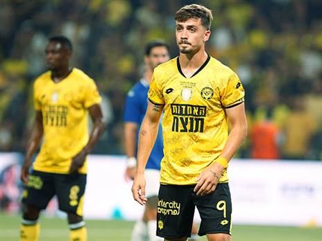 אכזבה קשה (אלן שיבר)