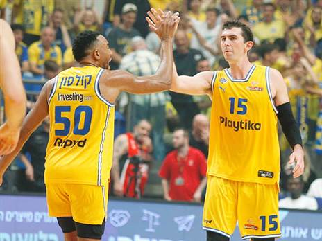 דומיננטיות (אלן שיבר)